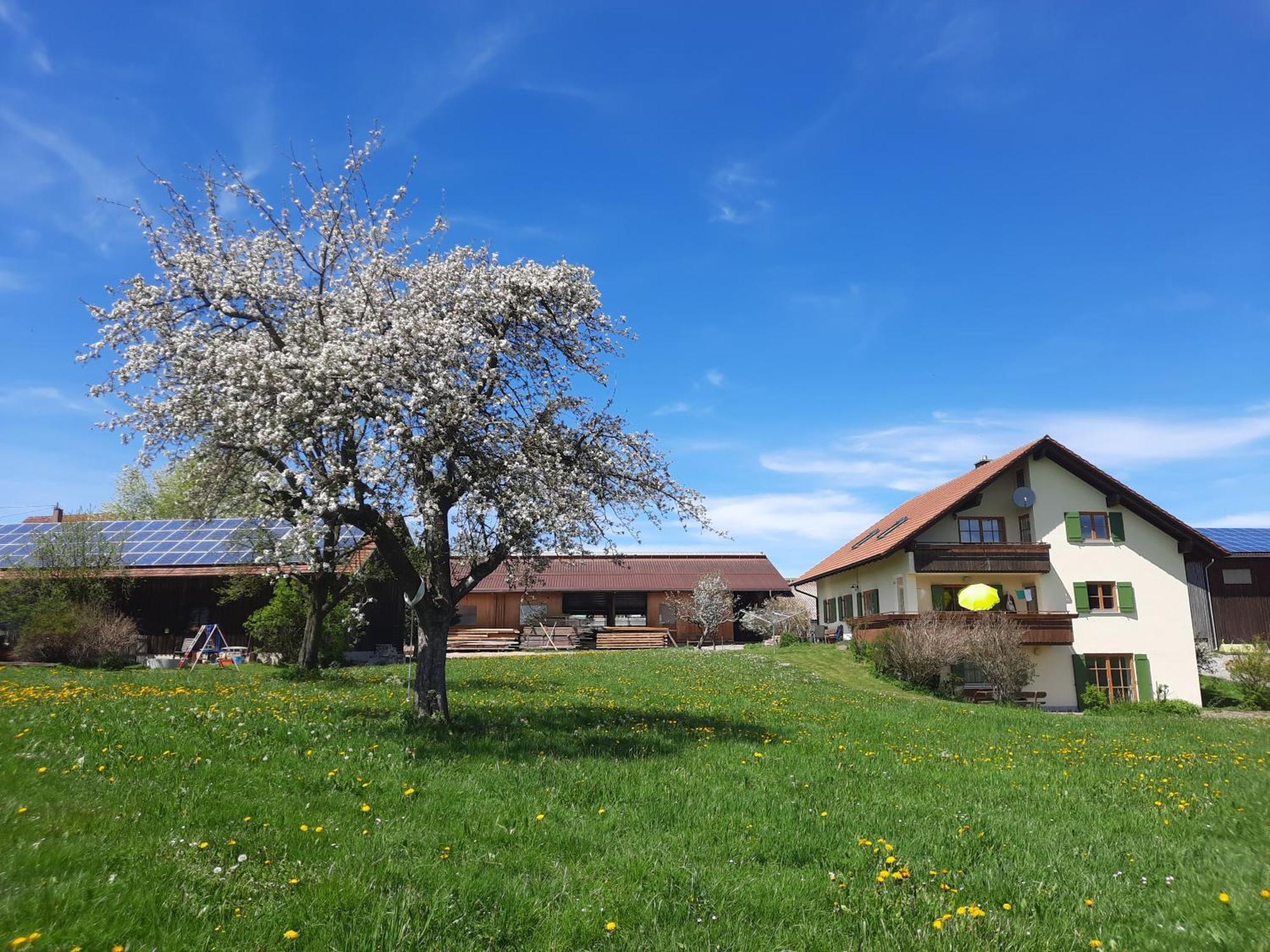 Bauer Haug Daire Dietmannsried Dış mekan fotoğraf